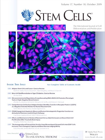 CD surface antigens in neurobiology